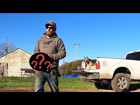 The Simplest Way to Get Flies OFF My Cows...If It Works!!!