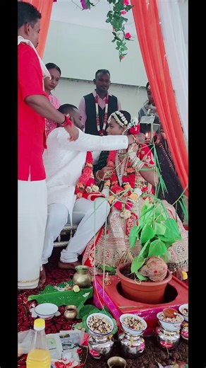 Celebrate Beautiful Indian Weddings with TikTok Videos