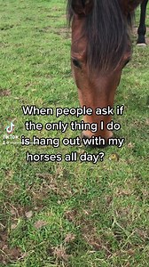 Well… 😉🙌🐴 #horsebooks #horsebook #bitlessbridle #bitlessriding #bitlessdressage #bitlesshorse #bitlessrider #bitlessjumping #bitless #naturalhorsemanship #horses #horsegirlvibes #traininghorses #equestrian #horsetrend #naturalhorsecare #naturalhorse #equestriangirl #equestrianvibes #horsesoftiktok #horseriding | Listening to the Horse - The Movie