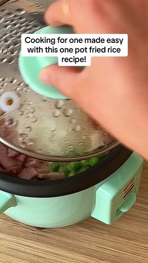 Easy One Pot Fried Rice Recipe with Kmart's Mini Rice Cooker