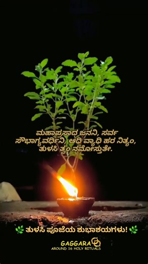 11K views · 223 reactions |  Happy Tulasi Pooja to All!  The...