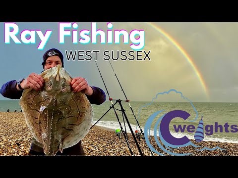 Undulate Ray Fishing in West Sussex | Shore Fishing UK