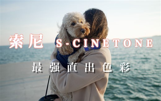 【索尼最新 S-Cinetone 配置文件】最强的直出色彩｜关于S-Cinetone需要知道的全在这里了｜固件升级 测试拍摄 曝光设置