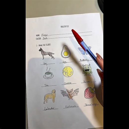 The Reality of Passing Exams: A Student's Perspective