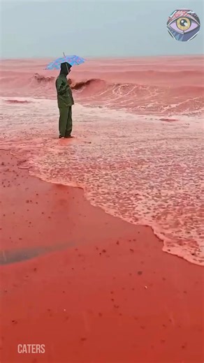 When the Rain Meets Iron: Blood Rain Turns the Sea Crimson | Now I've Seen Everything