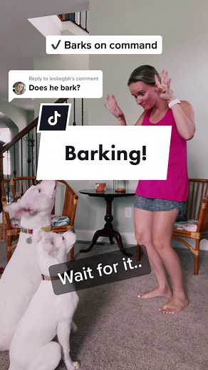 Deaf Dog Barking and Screaming Compilation