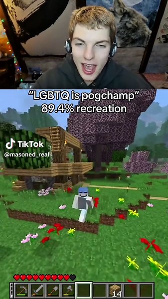 Dream SMP Ally Compilation: Celebrating LGBTQ Community