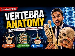 Vertebra Anatomy for MBBS 1st Year | General Features, Classification & Parts | Johari MBBS