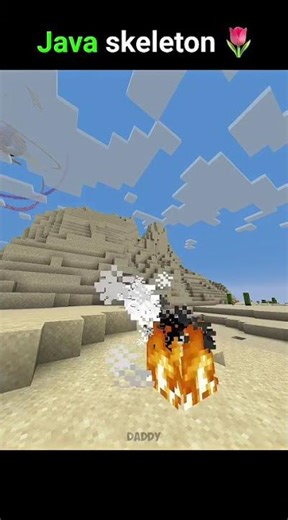 Bedrock Vs Java Skeleton #shorts #daddy