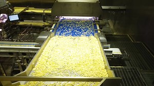 Watch world-class potato strip processing in action 🍟 This state-of-the-art line at Bem Brasil Alimentos features six VERYX optical sorters, an ADR automatic defect removal system, and 57 Iso-Flo conveyors working in perfect harmony to process 30 metric tons of frozen french fries per hour. From farm to fry, we're proud to help Bem Brasil deliver exceptional product quality while improving operating efficiencies and increasing yield. | Key Technology