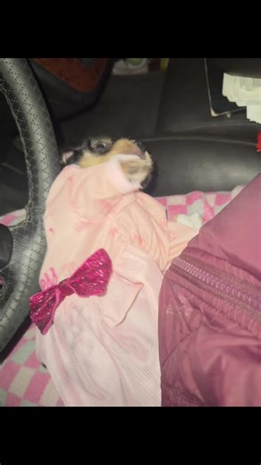 Videos de Nancy Castillo (@nancy.castillo0565) con “sonido original - SoyRamon”