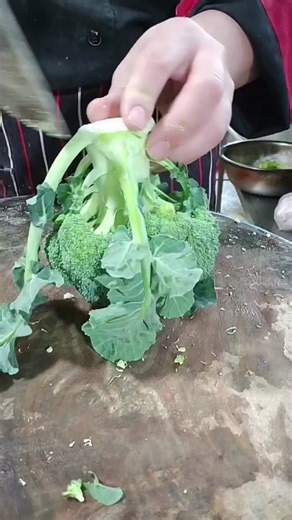 Ideal life on TikTok