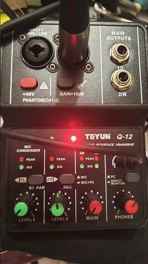 Teyun Q-12 Audio Interface Test