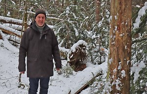 Der Förster-Chef im Nationalpark Bayerischer Wald geht in den Ruhestand