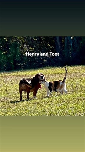 Patsy Palmer on Reels