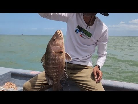 Father's take their Sons fishing.