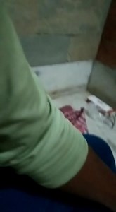 Dt. 09/05/2023 🇮🇳Our Total NON-STOP Day 1️⃣7️⃣8️⃣3️⃣ 💉 Case Type - Check-up 💥 Case number - 💥 Service Details :- This Free of Cost Service provided by “Voice For The Voiceless NGO @ Under Project “ Kusum Kumari Animal Hospital - Mobile Veterinary Service Division . 💥 Service Area ( which is Physically Covered ):- Burdwan (West Bengal, India) ☎️ Book Our Free Service, @Cll :- ( Helpline No 91 731-8885611 ) , 91 9434083636 , 91 891-8758446 , 91 80011 91206 :- ** We have no ph numbers other t