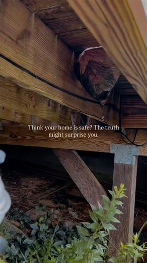 Even the cleanest, most well-kept homes on Cape Cod are at risk for pests. Ants, spiders, termites, hornets, and rodents don’t care how tidy your house is, all they need is one tiny opening, a little moisture, or a hidden food source to move right in. Most homeowners don’t realize pests are already inside until the problem is visible and by then, the colony or nest is often well established. That’s why ServPest Solutions focuses on prevention first. ✅ We spray foundations 3ft up & 3ft out to blo