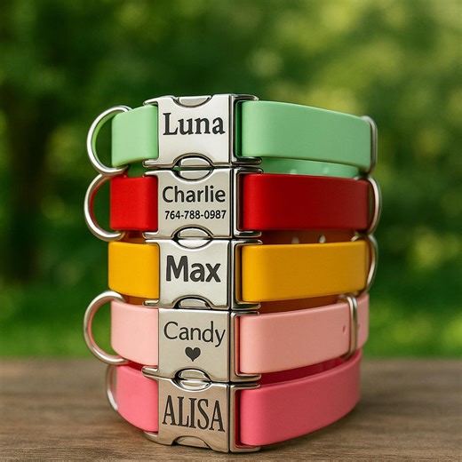 Personalized Biothane Dog Collar: Custom Engraved Waterproof Pet Collar - Etsy