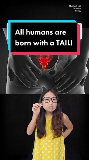 Exploring the Fascinating Human Tail in Science Class