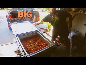 The Largest Crawfish of the Season Cooked to Perfection!