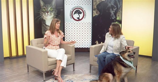 3 Plus Your Pets- Humane Educational Society