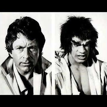 The Classic Series "The Incredible Hulk" – A Television Icon of the 70s and 80s