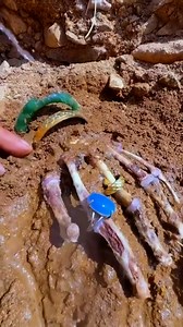 The Most Popular Video right now | Islamic records