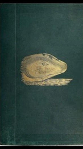 The Great Sea Serpent 1892 booktube project gutenberg ebook freebook free books public domain