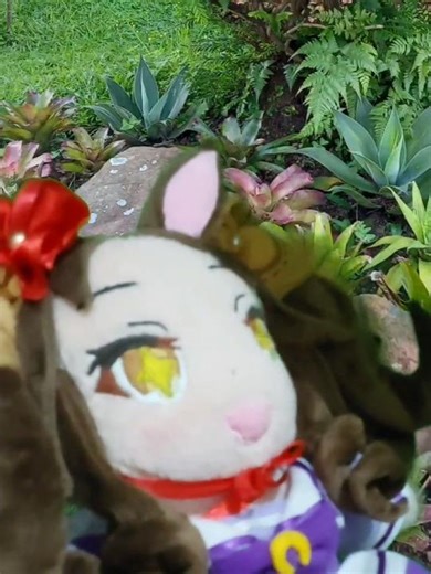 HAVE A MARVELOUS SUNDAY EVERYONE☆★ #umamusume