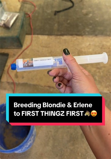 Breeding Blondie & Erlene to First Thingz First