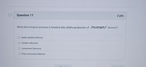 What phonological process is found in this child's production o... | Filo