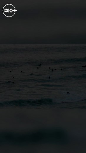 3K views | Above California | Muscle Beach in Venice, California If you are looking to get in shape or just show off your shape, Muscle Beach in Venice, California is not only a popular place to do it but also very affordable. Binge all of John Bartell's backroads destinations on the ABC10+ TV streaming app. | ABC10 | Facebook