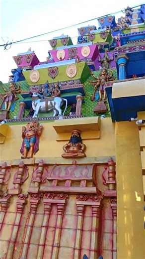 #omenoka #shortsfeed #shorts