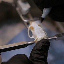 Video: A Procedure for Implanting Organized Arrays of Microwires for Single-unit Recordings in Awake, Behaving Animals