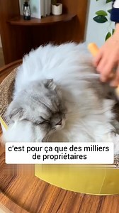 873 reactions · 91 shares | Le sous-poil mort doit absolument être...