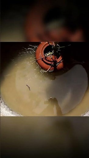 Underground House & Pool | Primitive Build 🌿