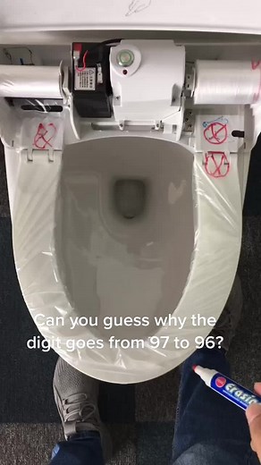 Toiletseat22 on TikTok