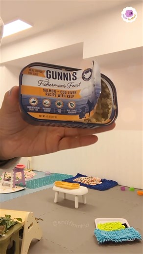 Join me add different treats around the Doggie Sensory Room stations. During a session your pup gets to sample a healthy variety of flavors and textures. The placement of each option is intentional, it helps us gather insights 😉 Nothing in the Doggie Sensory Room is random or "just because" and that is part of what makes this experience unique! Yes, Allergies and Food Sensitivities are always taken into account. I clean up between sessions to make sure your pup's needs and safety are covered. T