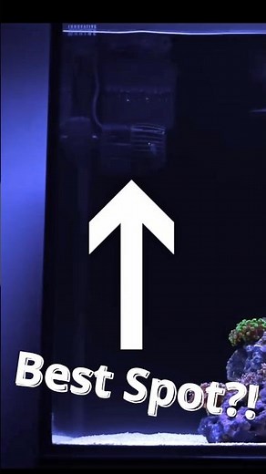 Get Your Reef Tank’s Wavemaker Placement Right the First Time!