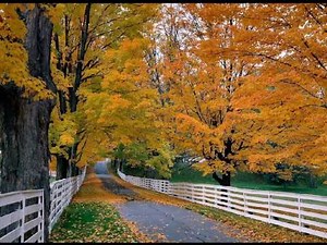 Helmut Zacharias - Concierto de Otoño (1956)