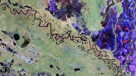 Biomass satellite returns striking first images of forests and more