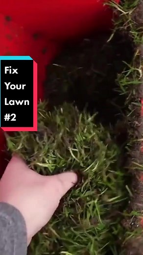 How to Overseed a Lawn: Scarifying for Successful Growth