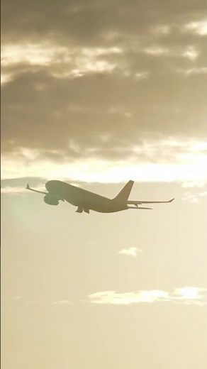 Super High Airplane Song ✈️🎶 Fly With Me! #kidsmusic #earlychildhoodeducation #toddlermusic