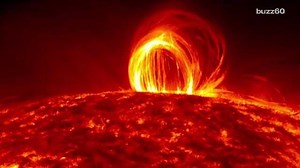 Quieting Sun Heading Towards Solar Minimum