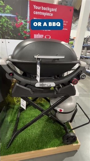 Take this, and this, and I'll give you a princess... Or anything you want from BCF! 🤣🎁