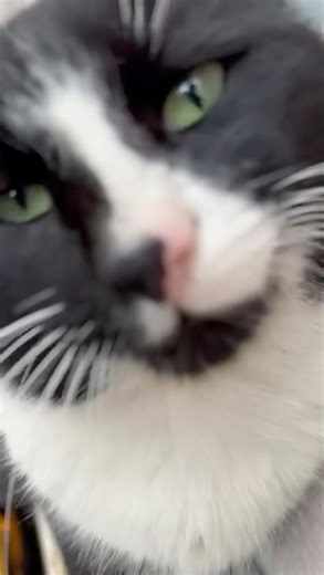 Azman is on the job.