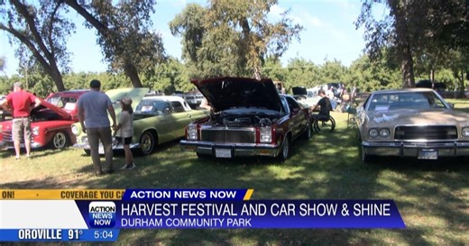 Durham Harvest Festival boosts youth scholarships and local vendors