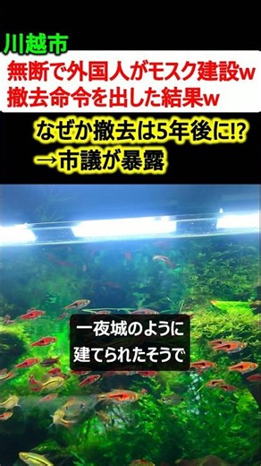 川越市、外国人が無断でモスク建設→撤去命令を出すも甘すぎて炎上