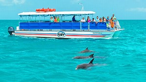 Key West Dolphin Watch | Snorkeling and Dolphins in Key West